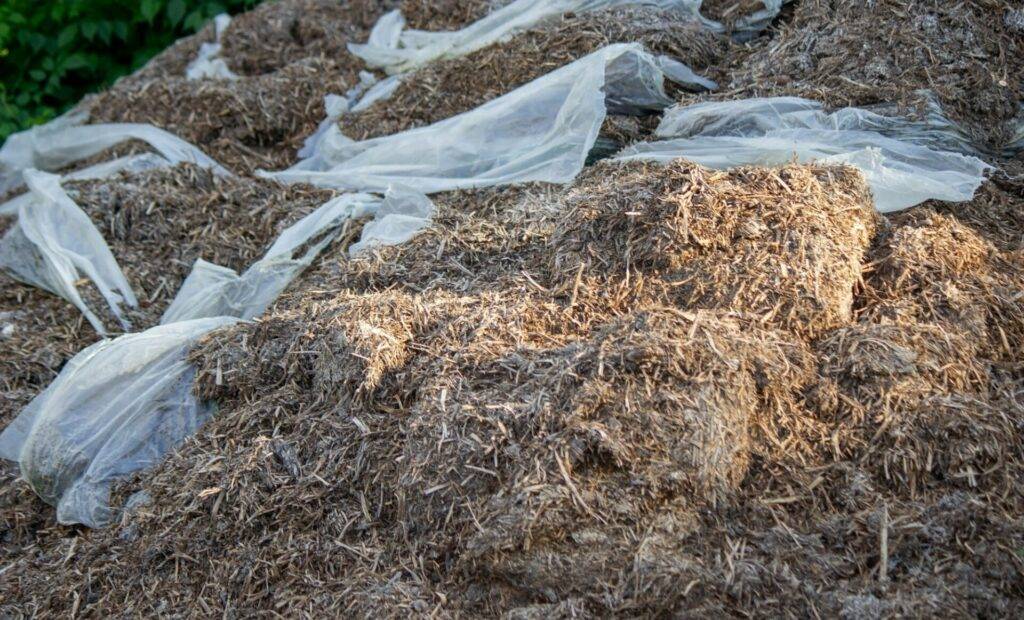 Heap of compost fertilizers from mushrooms.